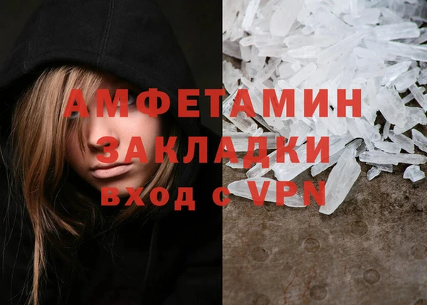 трава Белокуриха