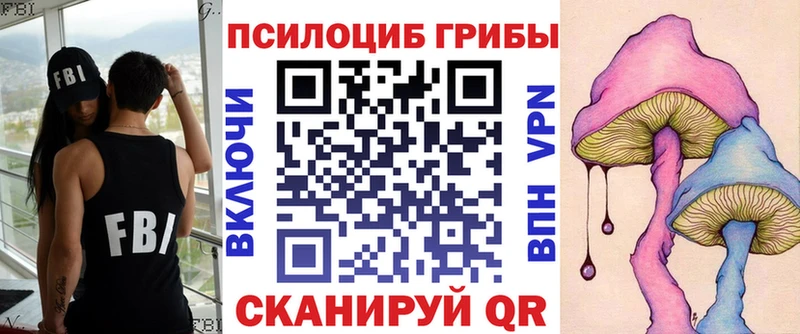 Псилоцибиновые грибы Cubensis  Купить закладки  Торопец 