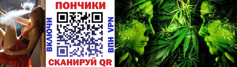 Купить  Торопец  Шишки марихуана MAZAR 